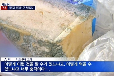 지난달 MBN이 단독 보도한 '치즈 속 곰팡이 덩어리' 제보사진 (사진=MBN 뉴스 캡처)
